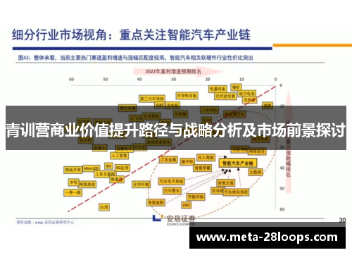 青训营商业价值提升路径与战略分析及市场前景探讨 青训营商业价值提升路径与战略分析及市场前景探讨